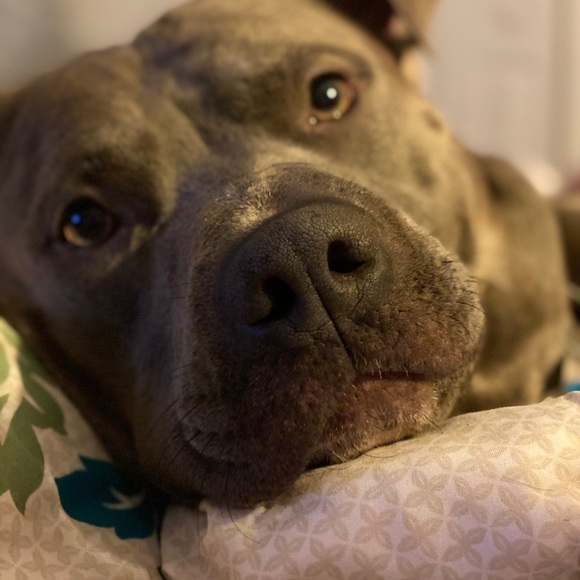 Meet your Posher, James - Picture 1 of 1